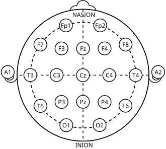 International 10-20 electrode placement system showing 21 electrode positions on the scalp